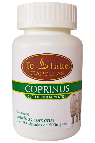 Te Latte Café - Cápsulas  de Coprinus comatus, COPRINUS